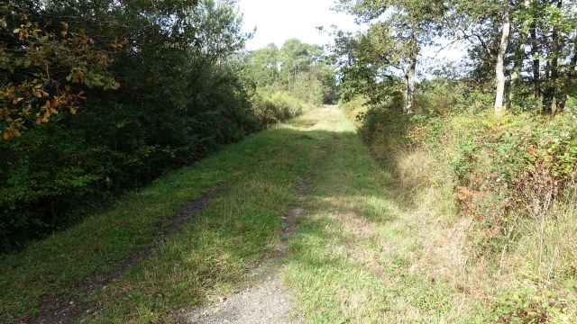 8C782AEE-540B-4250-8C02-B4FB02E59D67