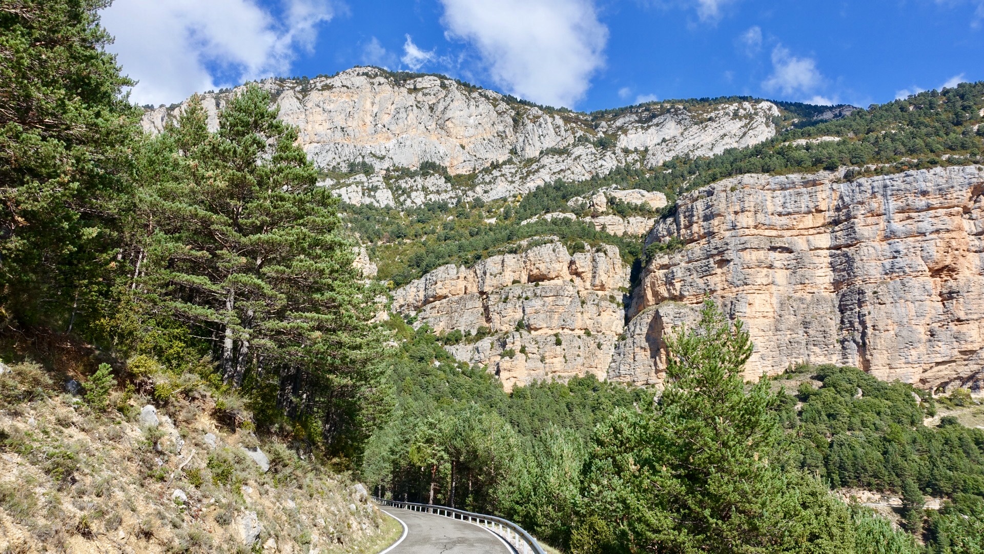 8D3B4DC0-5F79-4657-BDEE-EC08419AA0FF