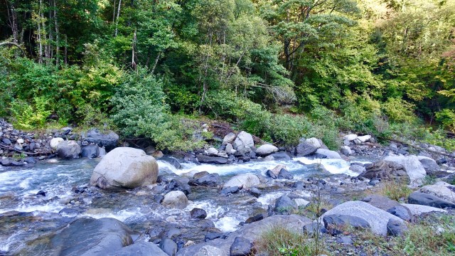 922EA585-B58A-406D-A28A-D69C87132A6C