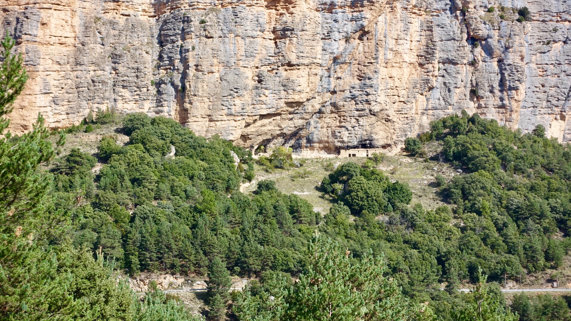 92C88F7B-2F08-4739-9C0D-DE2DA42197A9