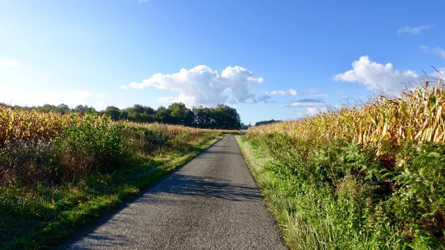 96F928B1-ADD0-4F1B-A71C-DEDF93DB1CE4