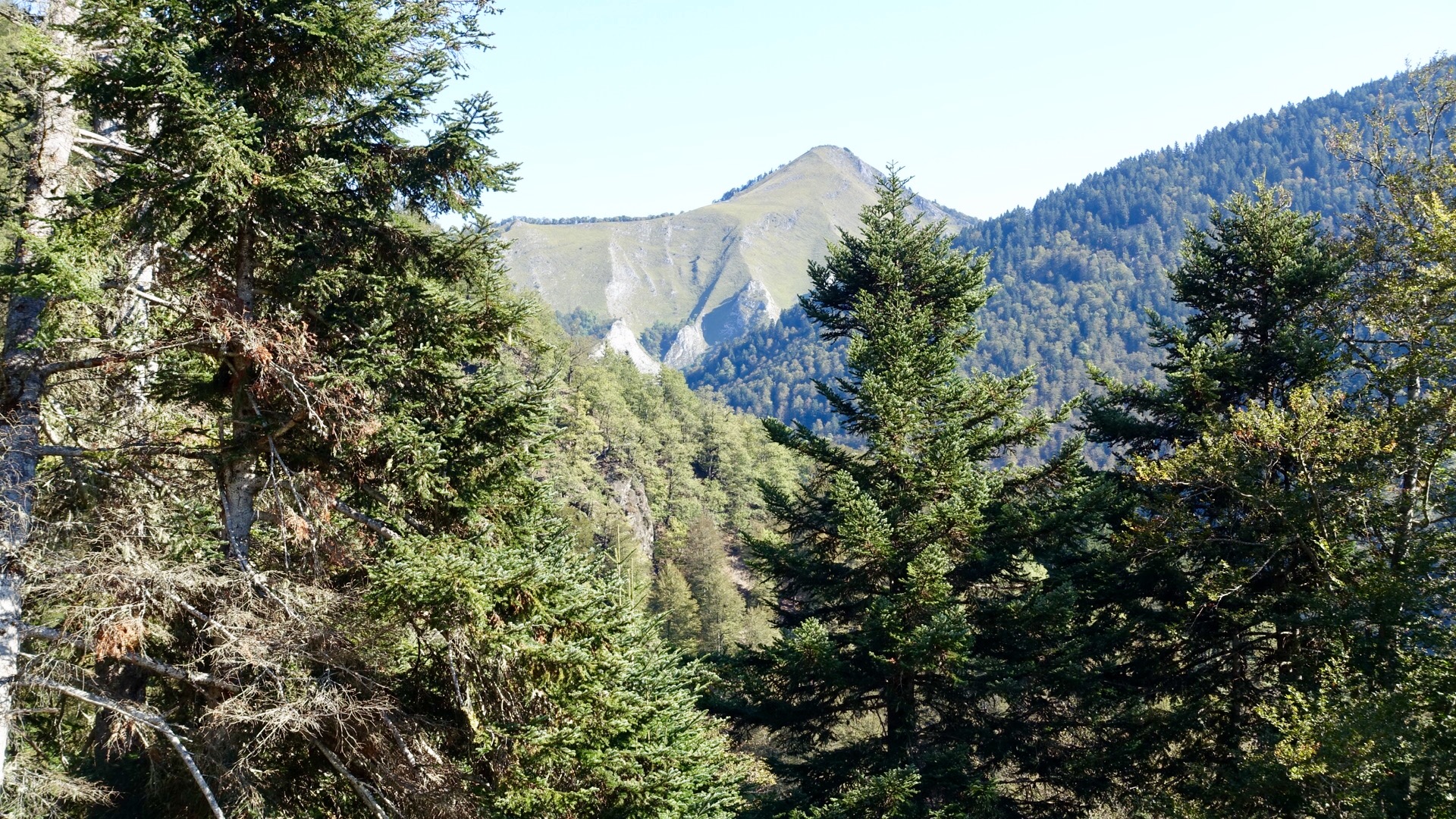 9B676982-3371-434D-8D0D-E852AC345C37