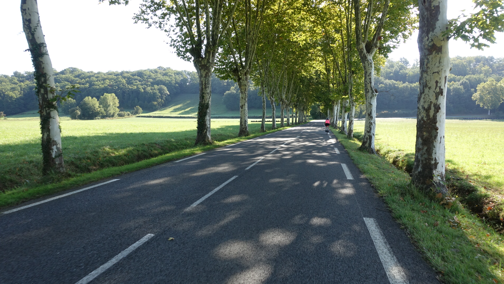 A4439449-3ACA-4535-A66E-E0AF9356E19D