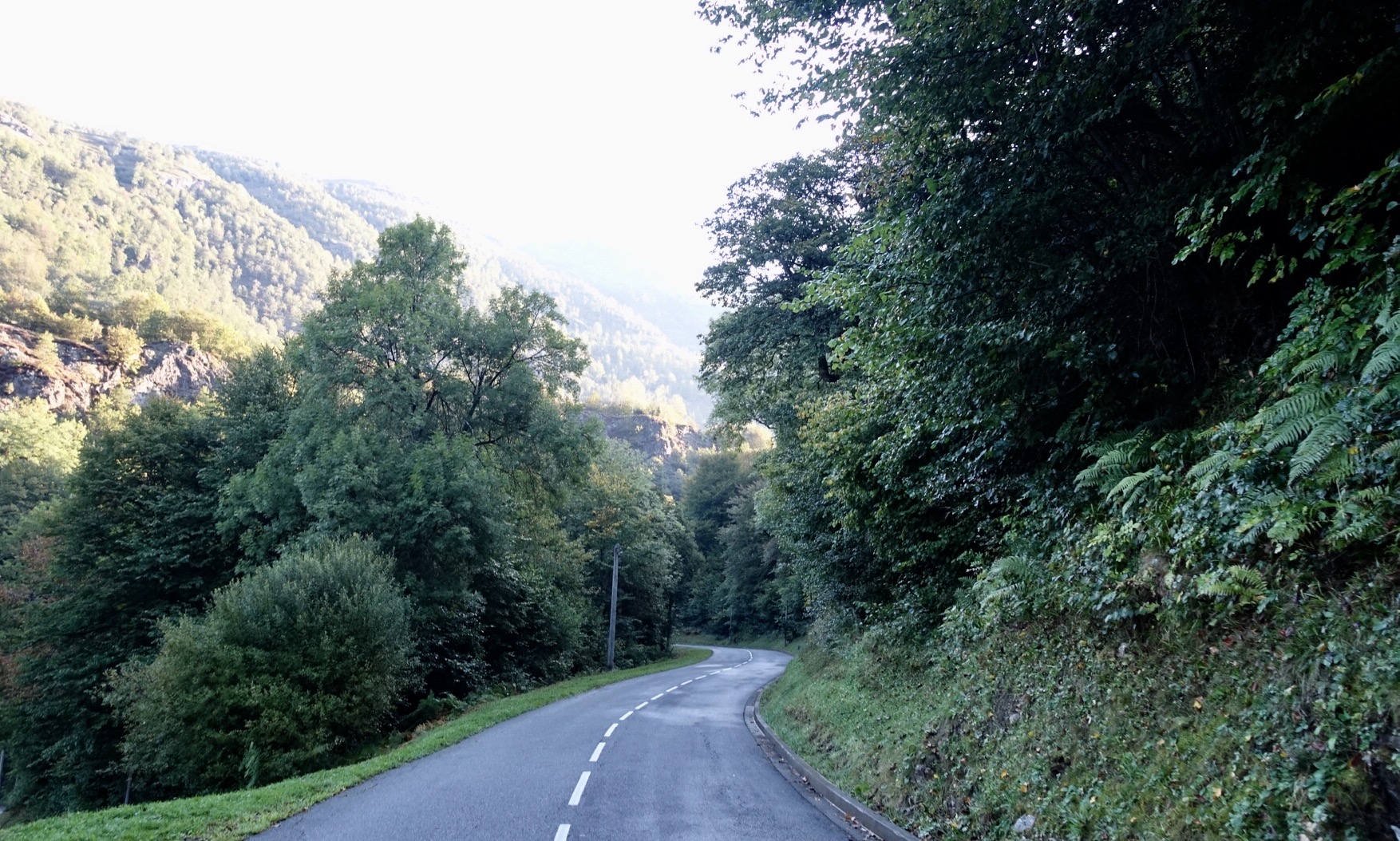 A99D5D1B-5BBE-426F-93D0-5B688ED8DA65