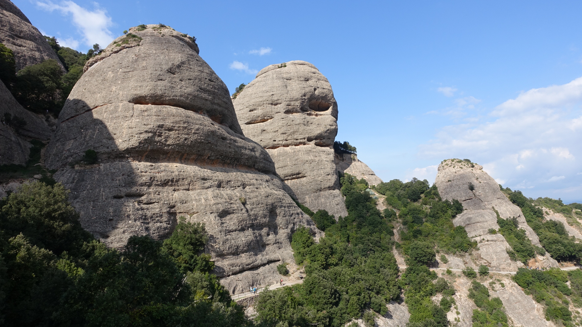 A9B6EC6D-6D20-4486-9FBB-925D77B6C6F0