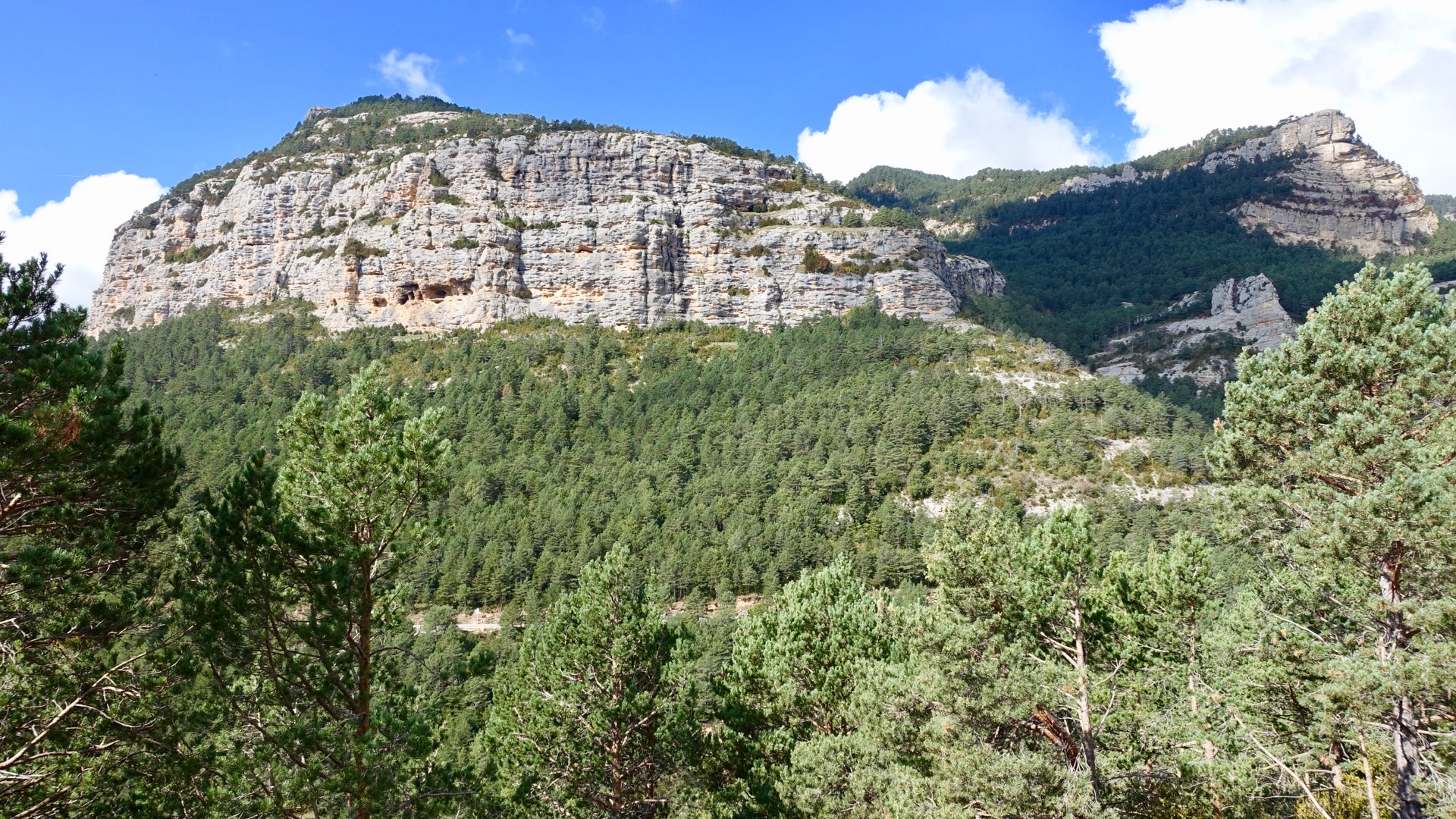 ABC536CB-29E1-40D8-9329-65EDD6901F25