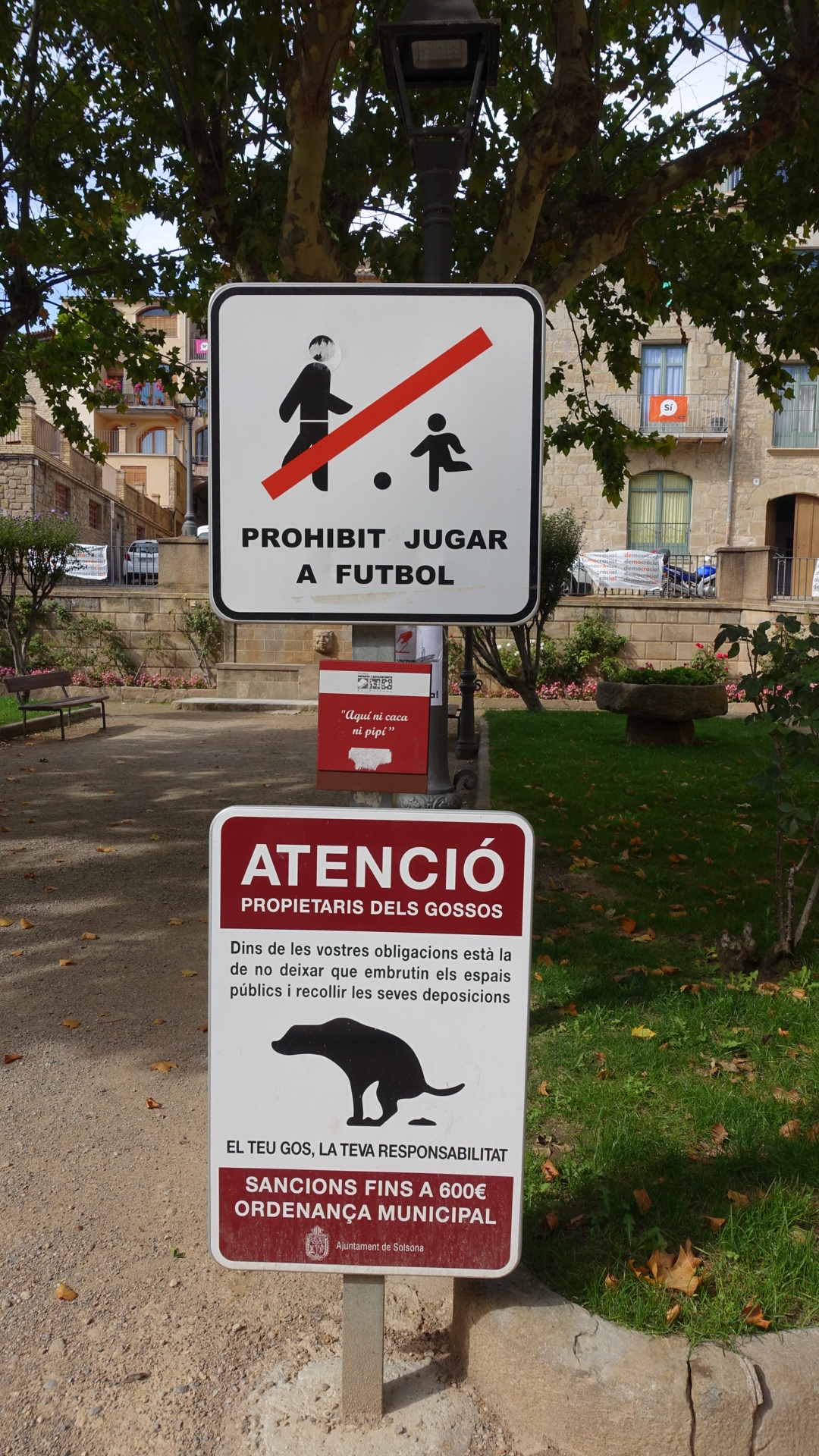 AE127478-2BED-44B3-AFF1-D7FB854803A4