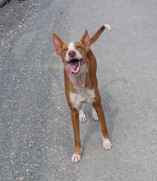 AE515521-6889-4633-8D5D-3385AF249535