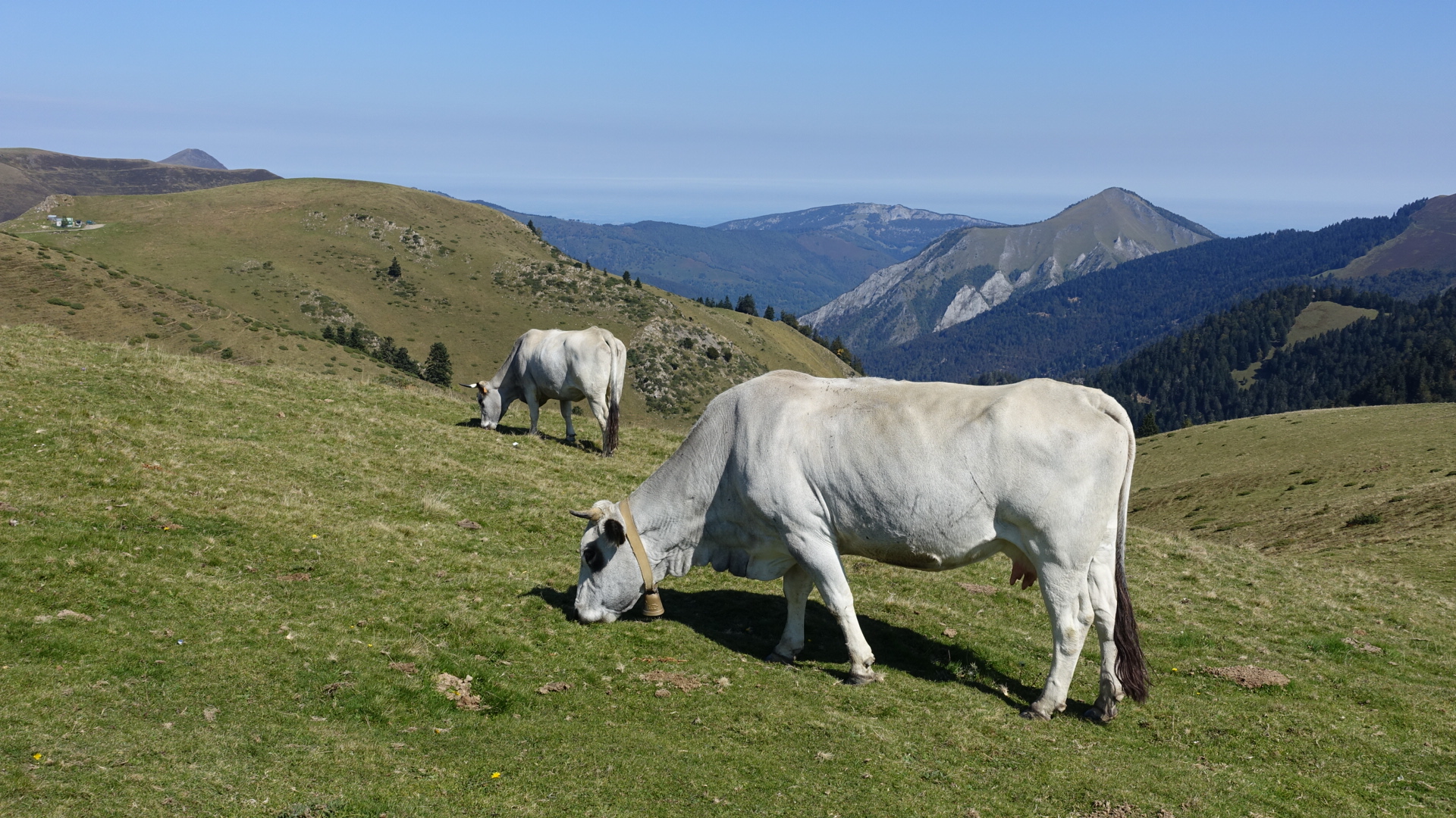 B3B1D146-14FC-4102-97B6-B617327493EF