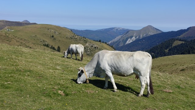 B3B1D146-14FC-4102-97B6-B617327493EF