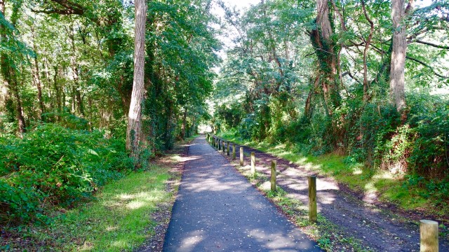 B600C3DC-95E2-4E40-9A71-7E9DF91240E1