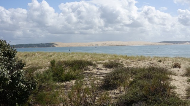 B96E322D-7B0D-4F80-90C0-FFAB0CD8C5BC