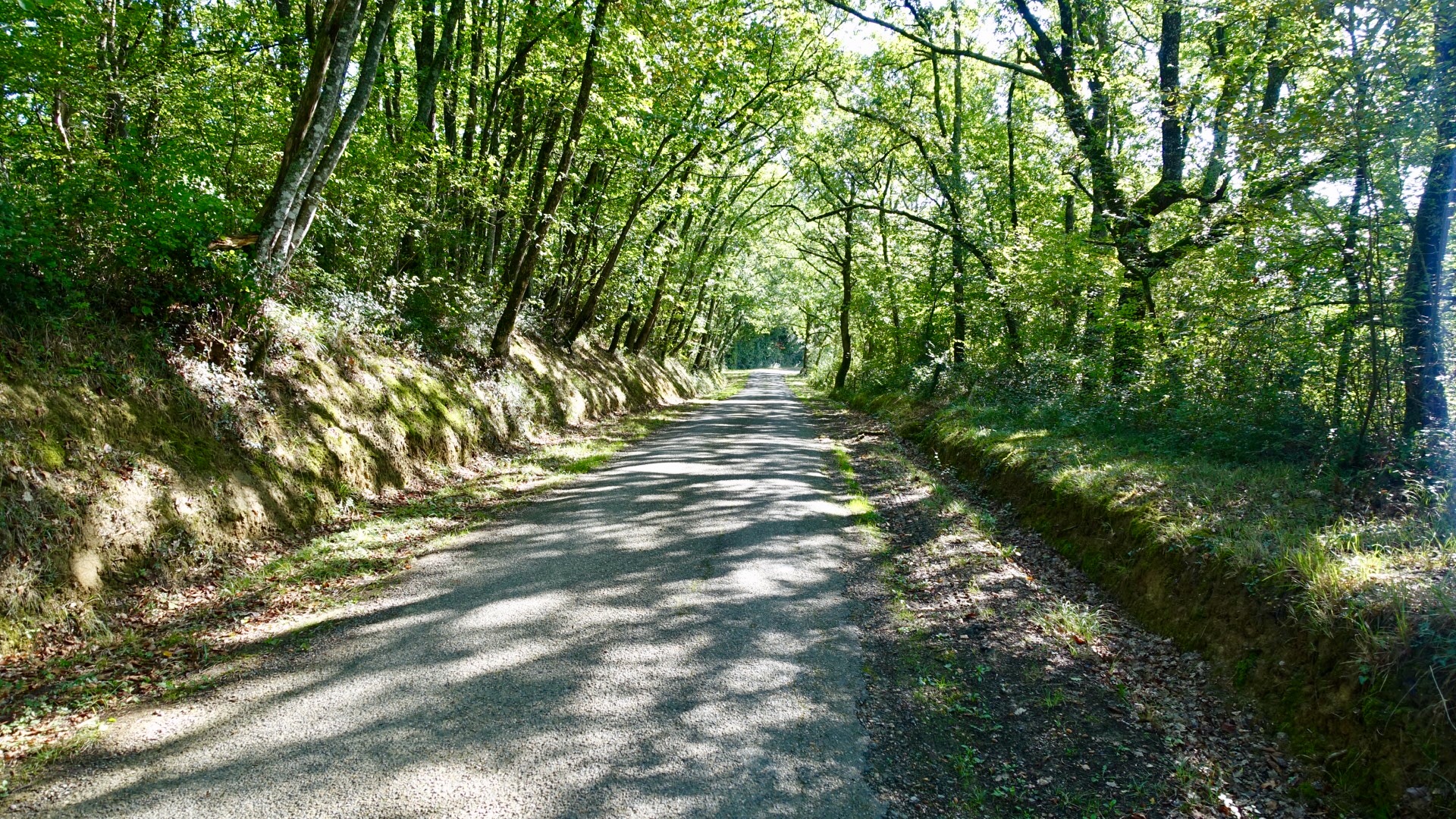 BAAE3DE9-488C-4951-88FA-2D7990355AE3