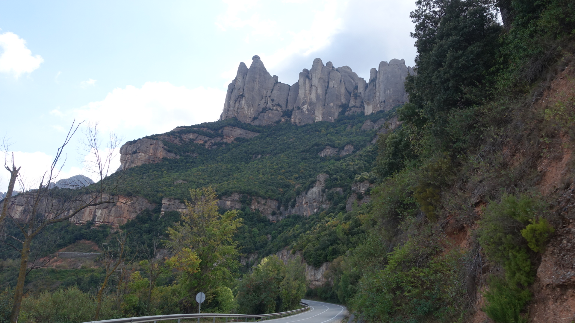 BADE72FE-2928-410D-A831-C40C272C5816