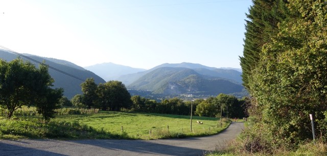 BD9548E6-47DB-4DBF-A2CE-8F8017CA5A67