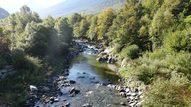 C2F353E4-594F-40BF-9DB1-D39CFBF0F52D