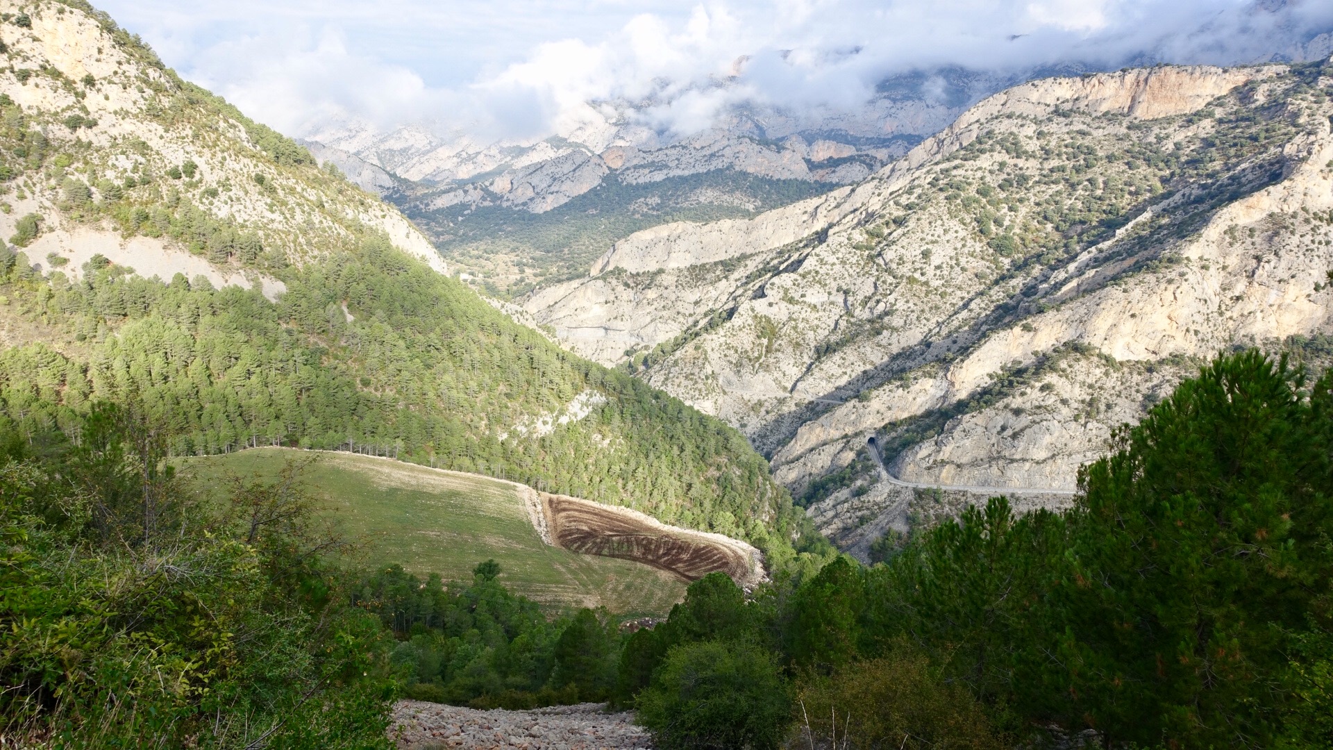 C5F3A4D9-6596-458F-9A14-1F0C5E9F7E4E