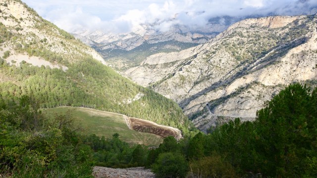 C5F3A4D9-6596-458F-9A14-1F0C5E9F7E4E