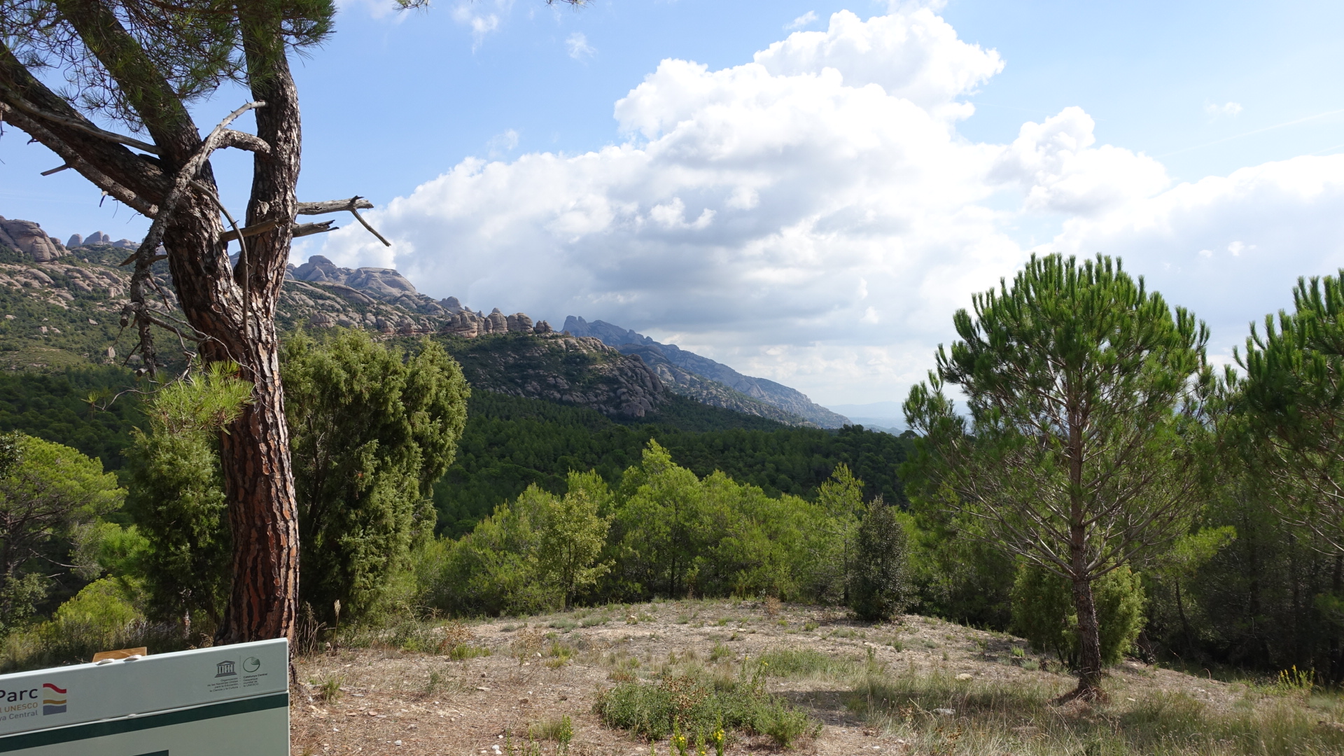 D01247B5-8B14-4A93-97F4-152C4427B373