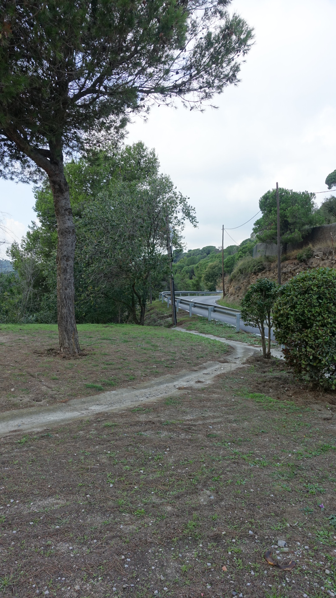 D4A78F43-6AEA-4CB0-A497-E159BCA691DB