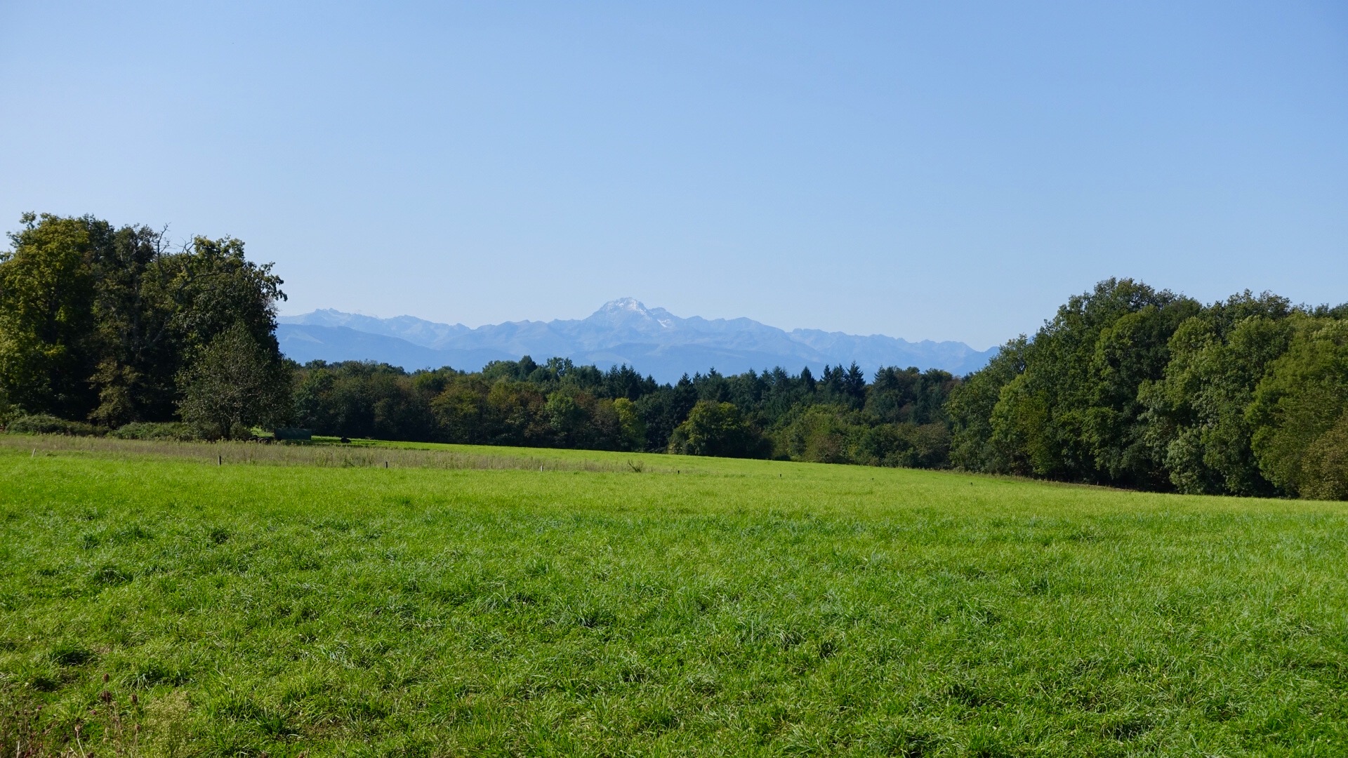 D4C93885-7CFA-437A-9465-FB5DDDBDD822