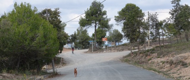 DB4BCA37-1816-4CAB-85B3-DEB6309B1BE3