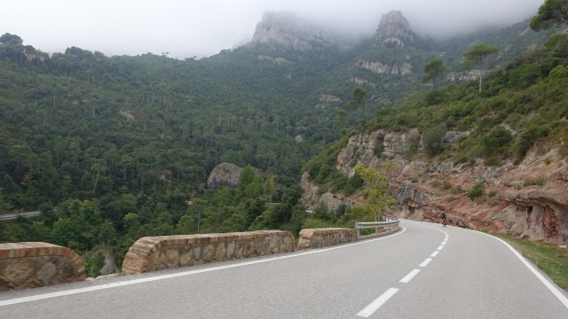 DBD008FF-B93F-42F2-AF85-17D21352A5DA