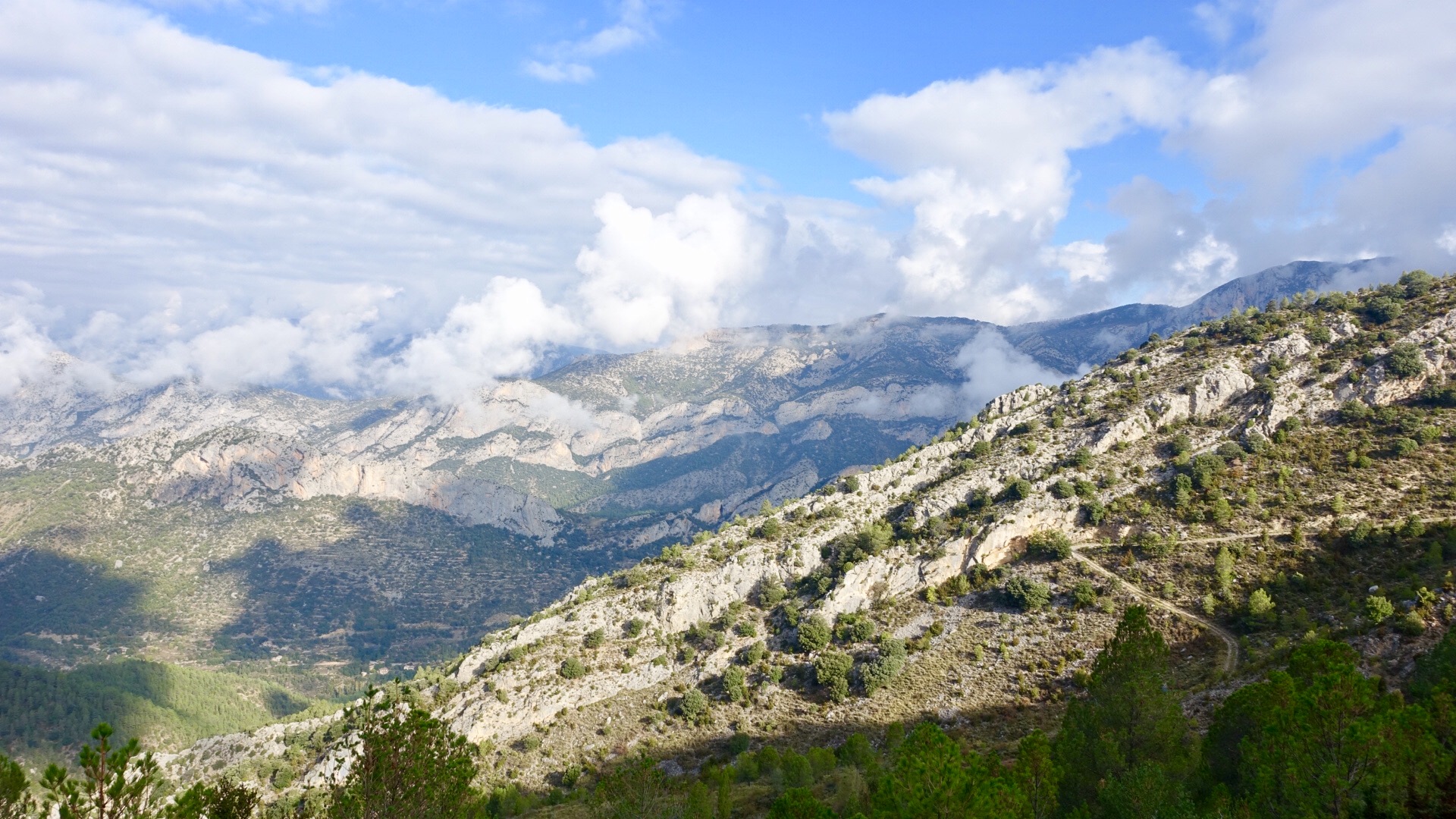 DE926A6F-935B-4ED9-B763-96364DC273DA