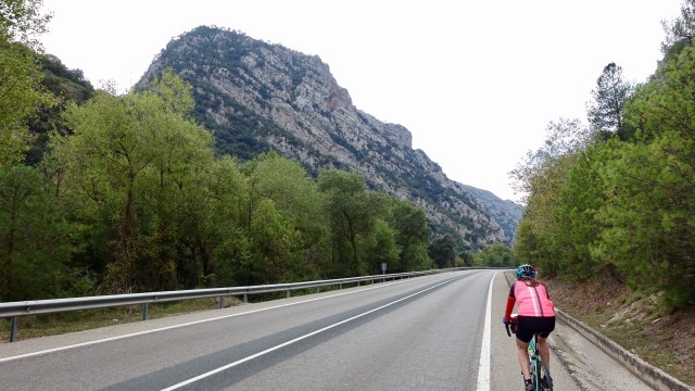 DEA63CA0-321B-4600-BF4E-A229060F7279