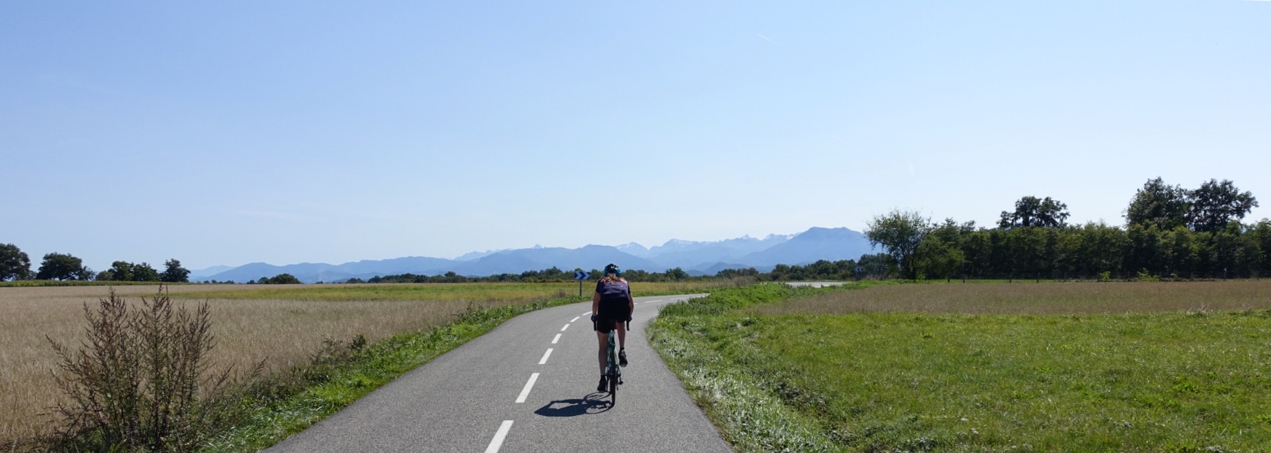 E3B9D4DB-60FB-499A-87DD-8FFCDE5D5880