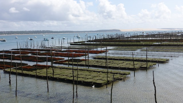 E3DA3805-B65A-419D-AA97-D78470CB824A