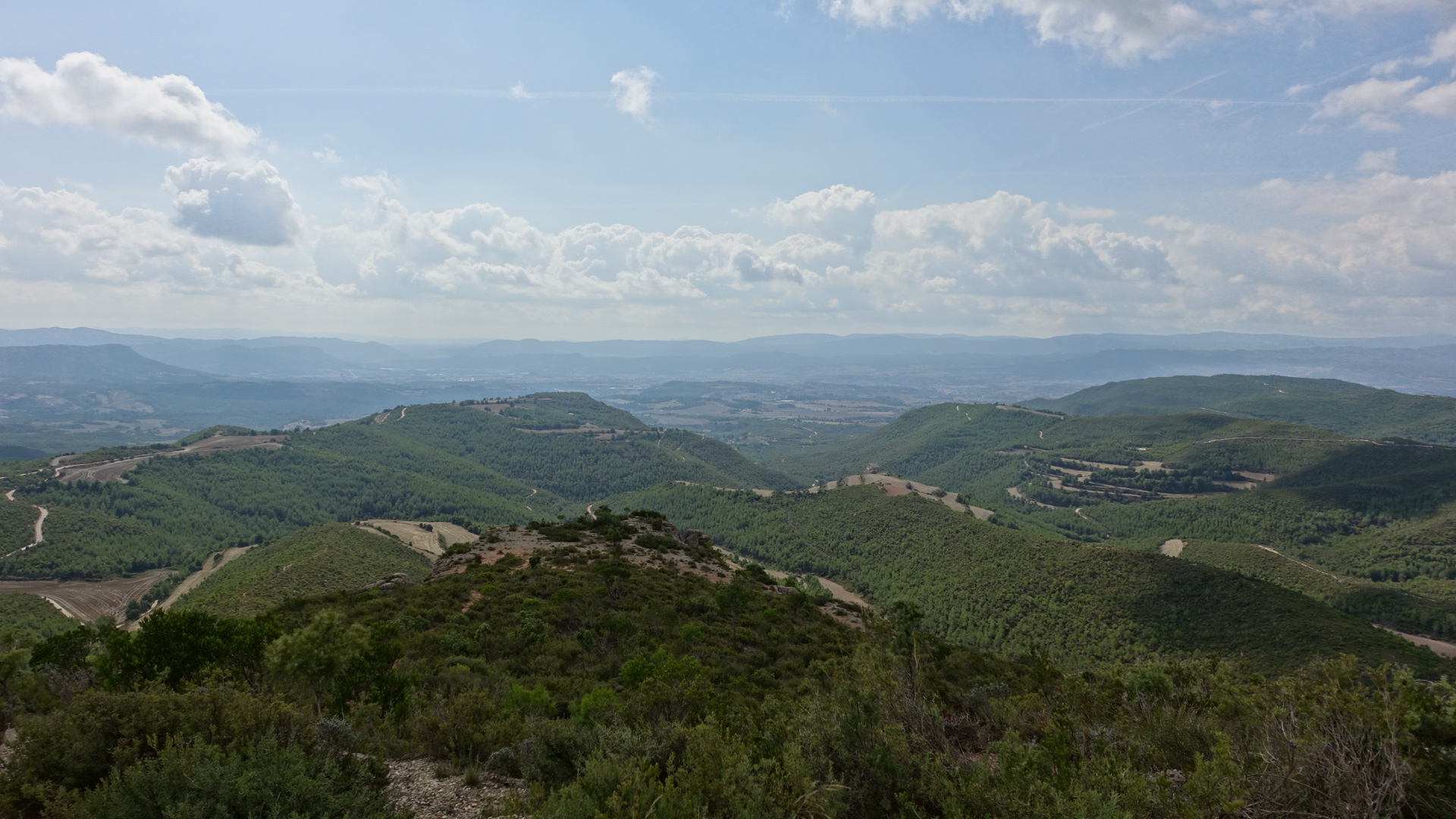 E589B4F1-8C44-4C36-A85B-B15663FE0126