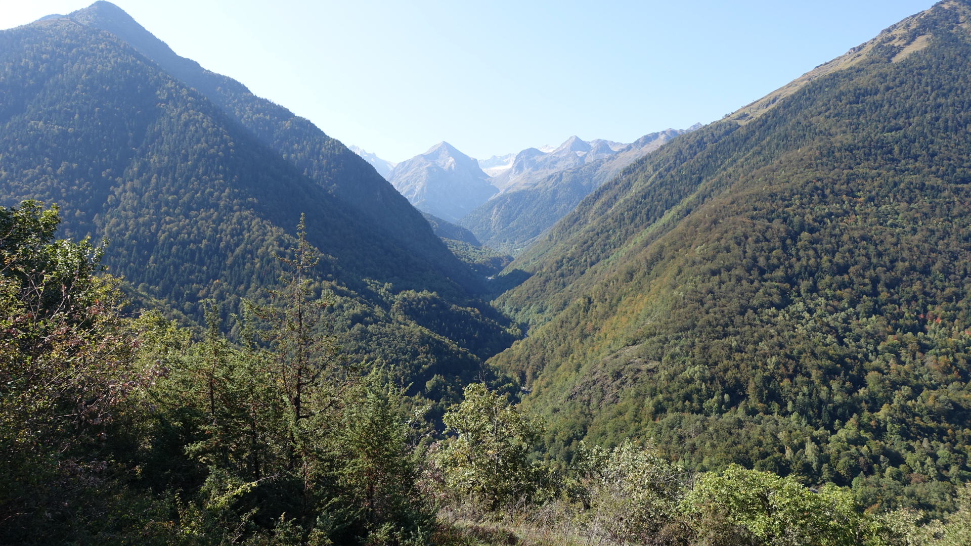 EA47A8D9-0B1B-4D77-87F5-6752786717B3