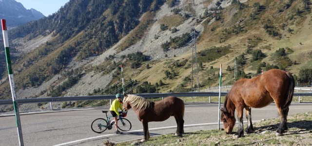 F29C8851-37E8-4590-BC3F-D77792A09C2F