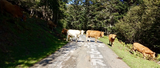 F9B58769-657F-4580-AF4F-D582799CC8DD