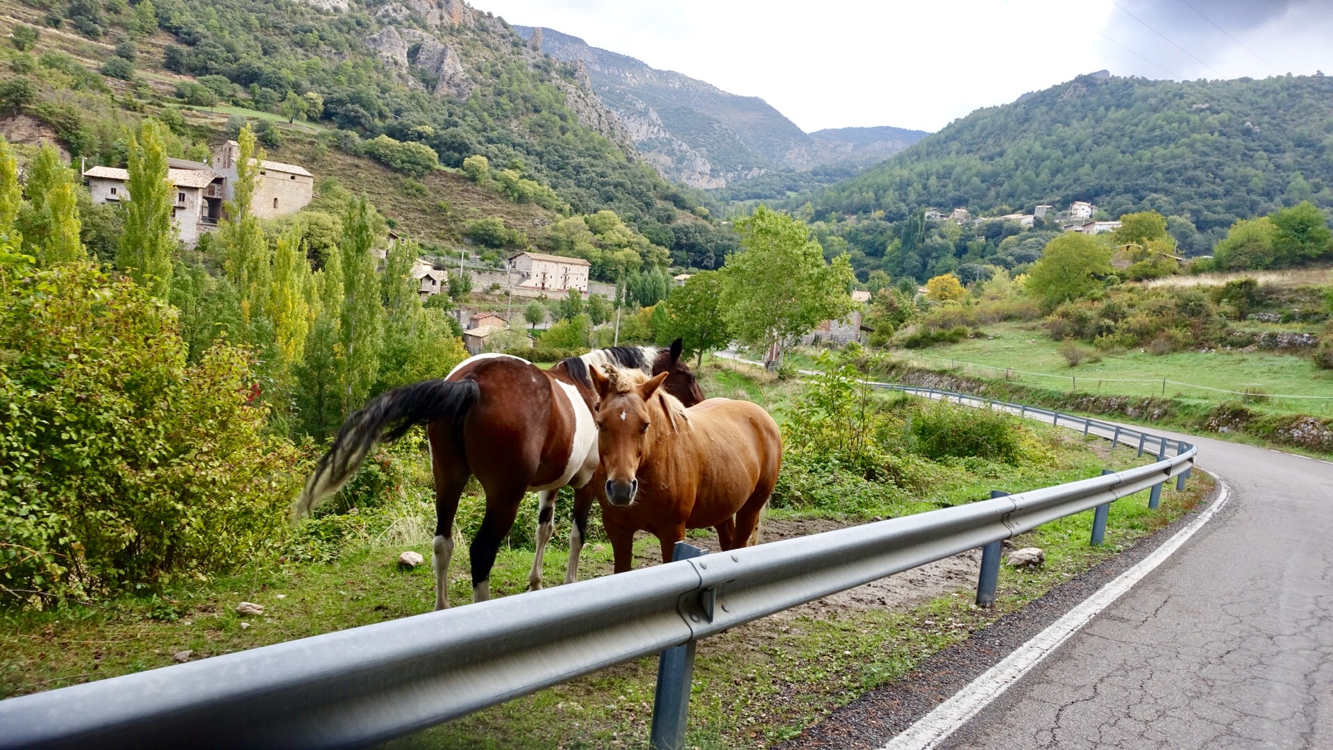 FE2E2091-FBAA-40A0-ACCF-73DBC5C0B038