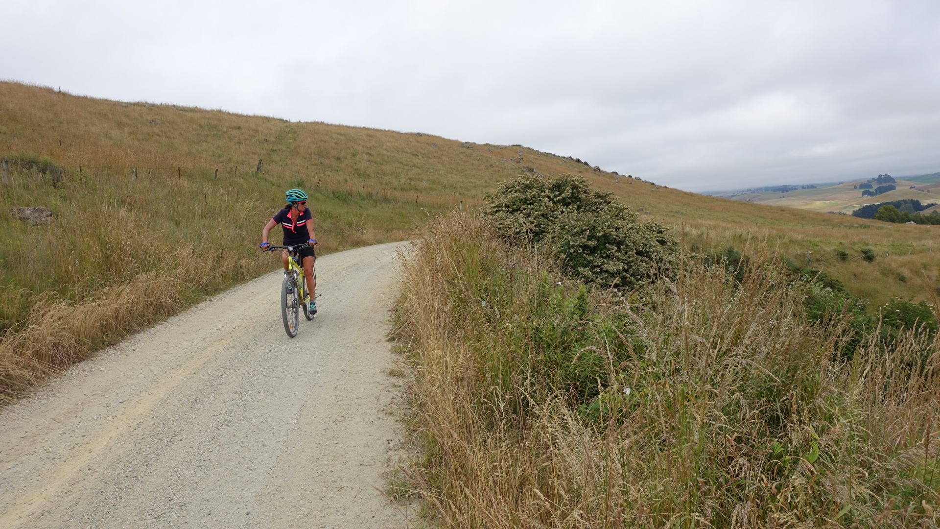 052412EF-D1F7-4722-8E6C-2B1D115D8944