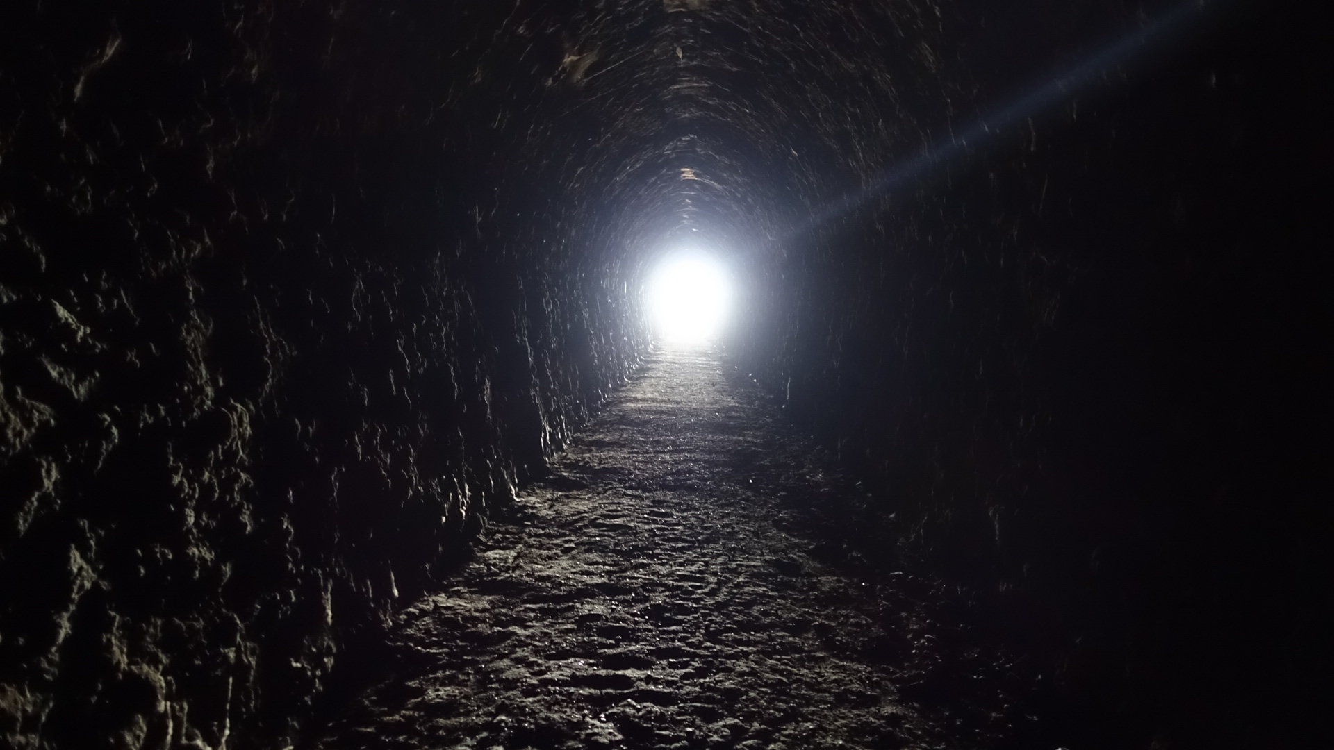 0638EC91-B3BA-4659-AB15-ECEB7FC665AE