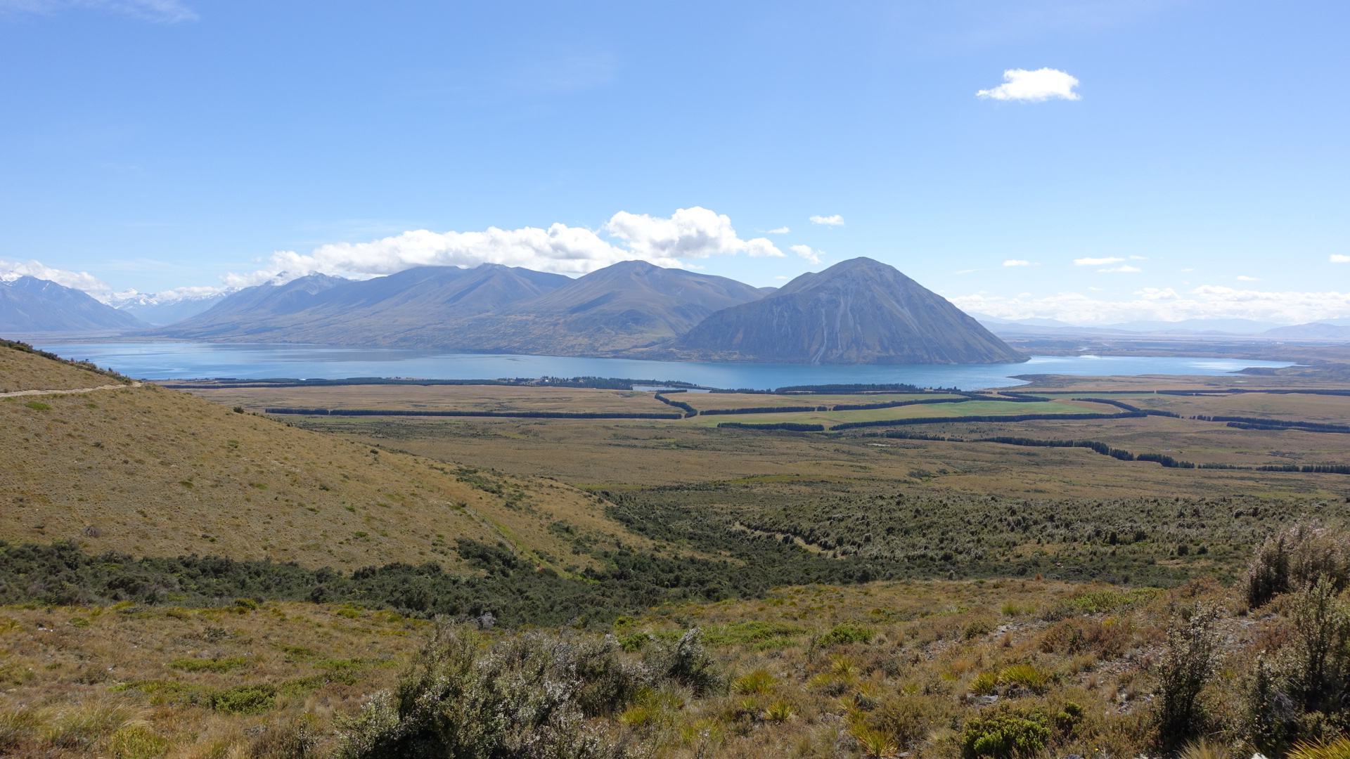 0C9A6E09-8EAC-4CDD-B1AD-8EEBC741B809