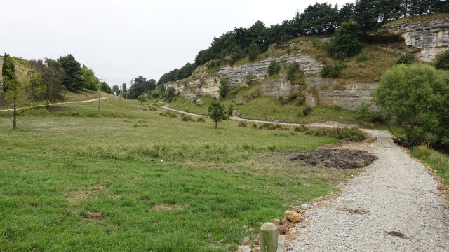 18E979E7-2CCC-431C-9670-42D040A1F296