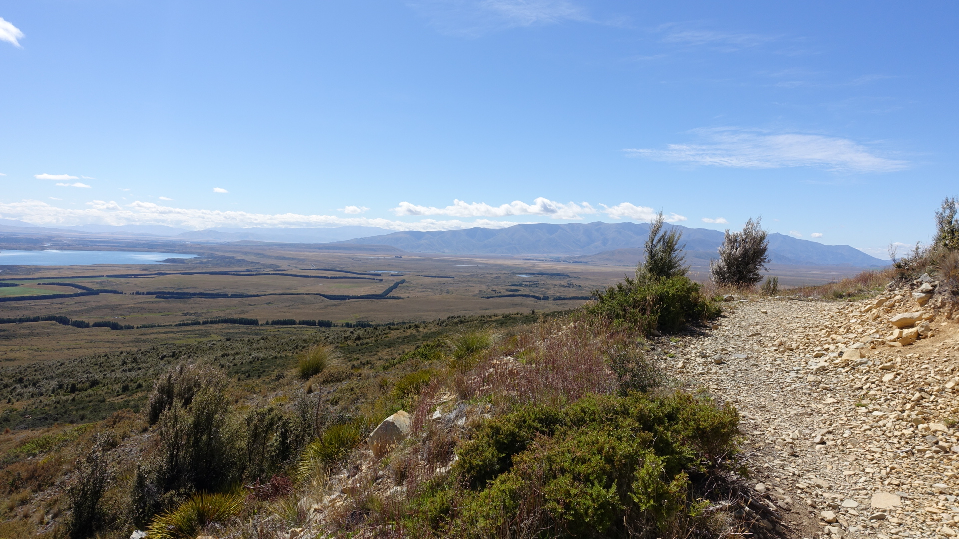 1DC1C0EF-FC83-4AD9-A45D-DAEA921B72A7