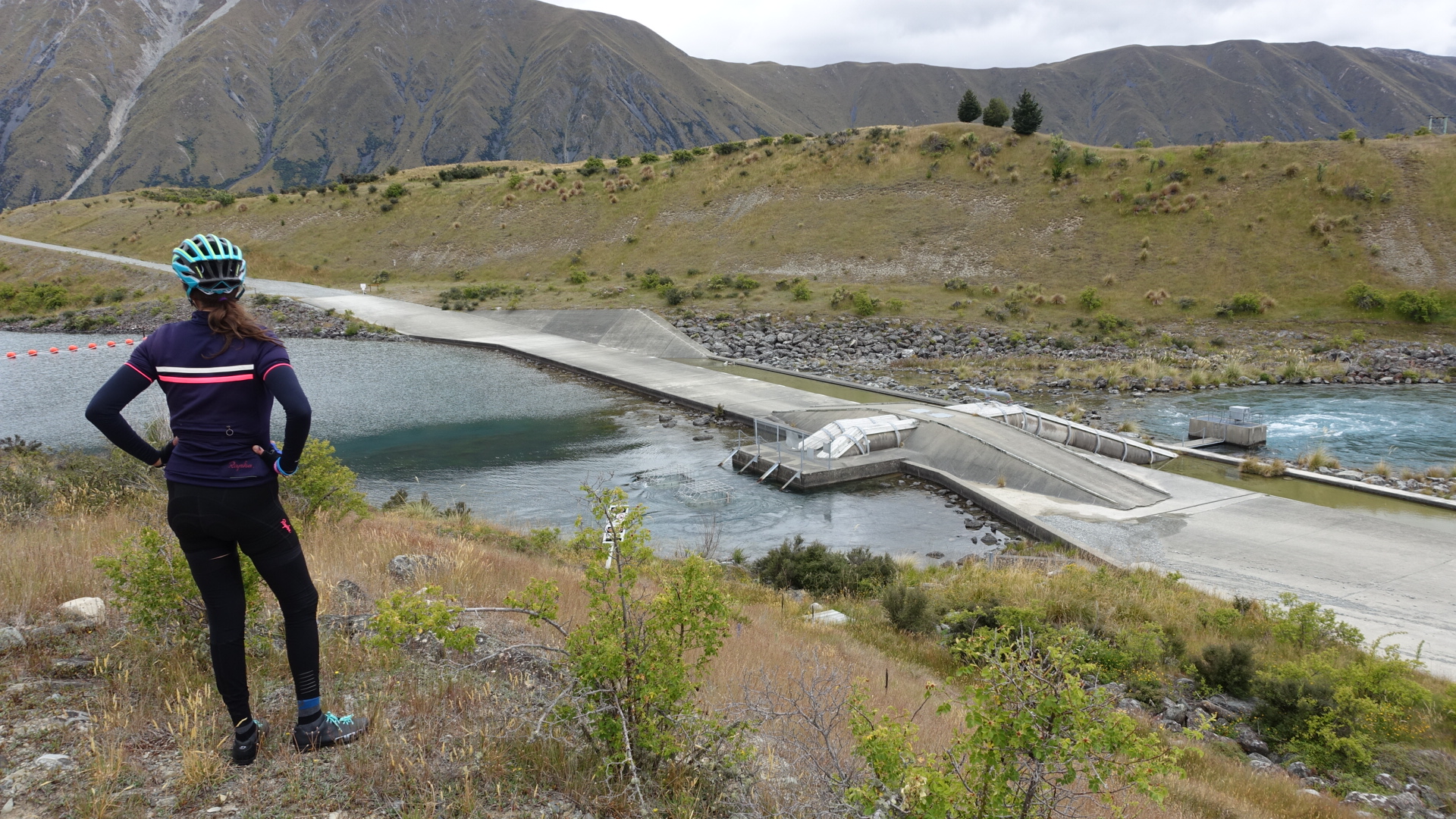 245229D0-B7E2-48E4-84CB-63664A9A76E0