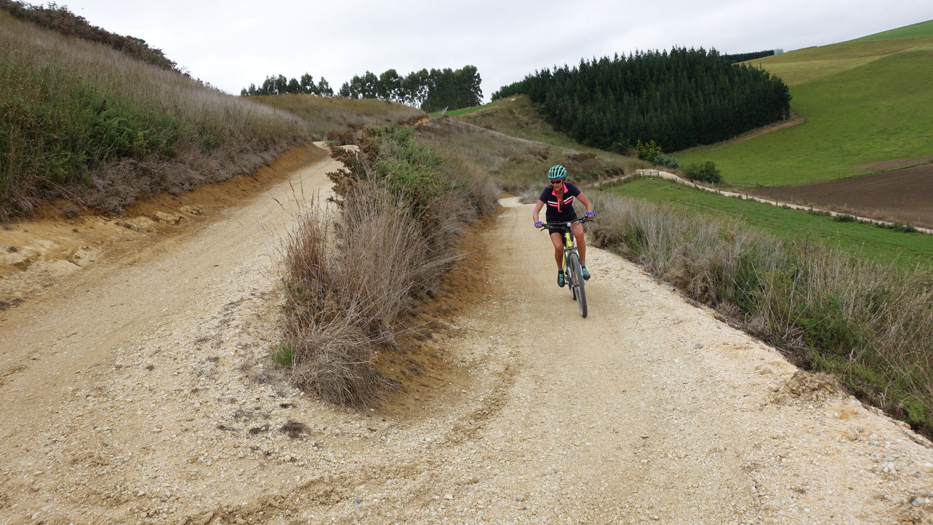 2D2FF669-99F9-46E7-8680-F705F7565EBD