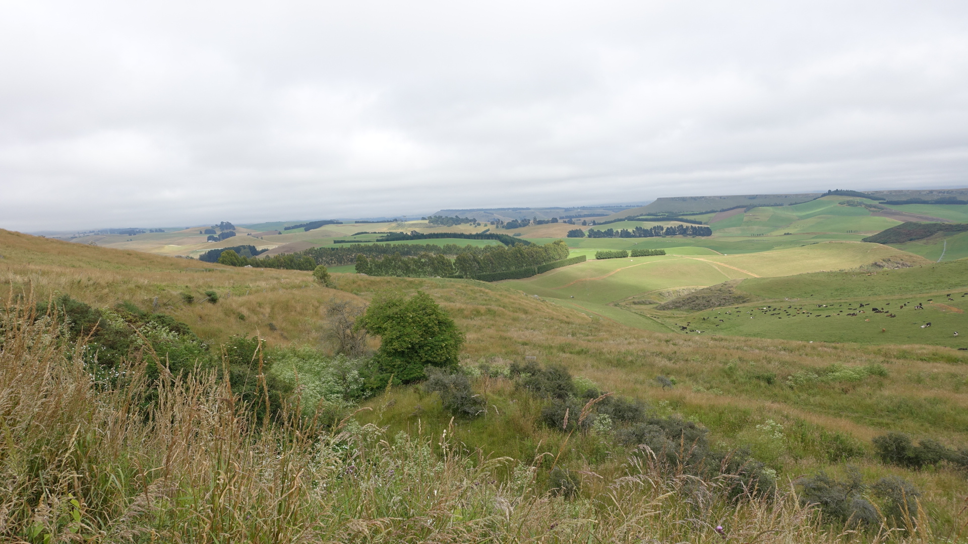 2E0CE1F3-D670-49C8-94C0-527549BEC3A0