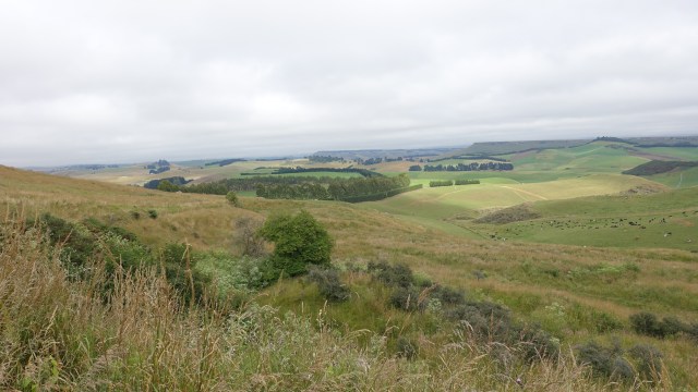 2E0CE1F3-D670-49C8-94C0-527549BEC3A0