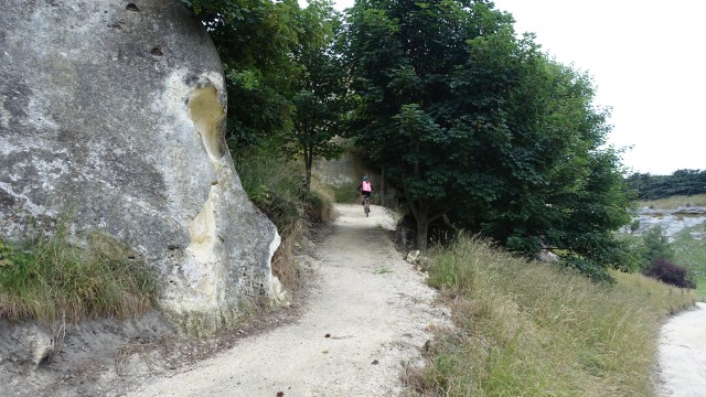 4724EF14-8C3E-401B-A94F-90F7AEFC8ECF