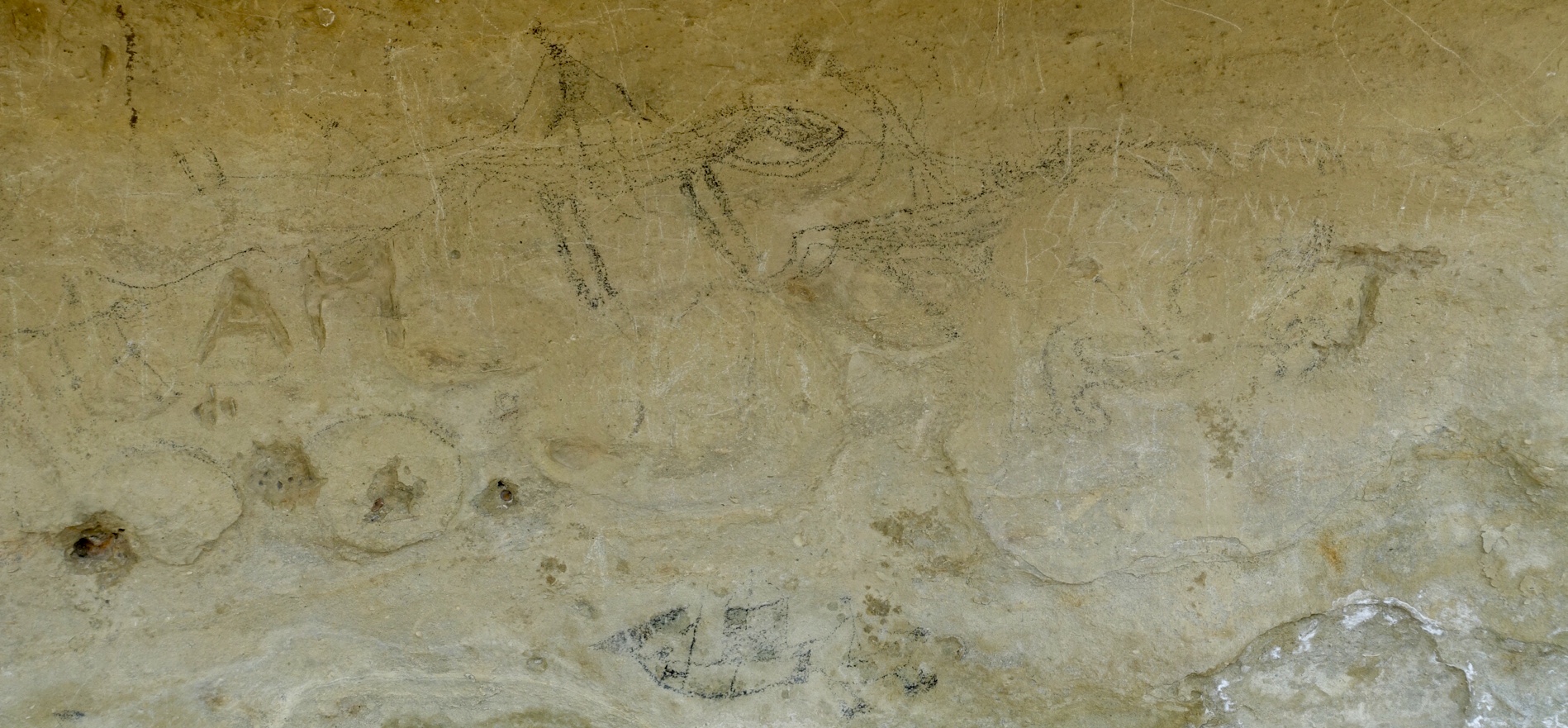 4F040BE8-369A-406B-A3AE-8E0522F0248B