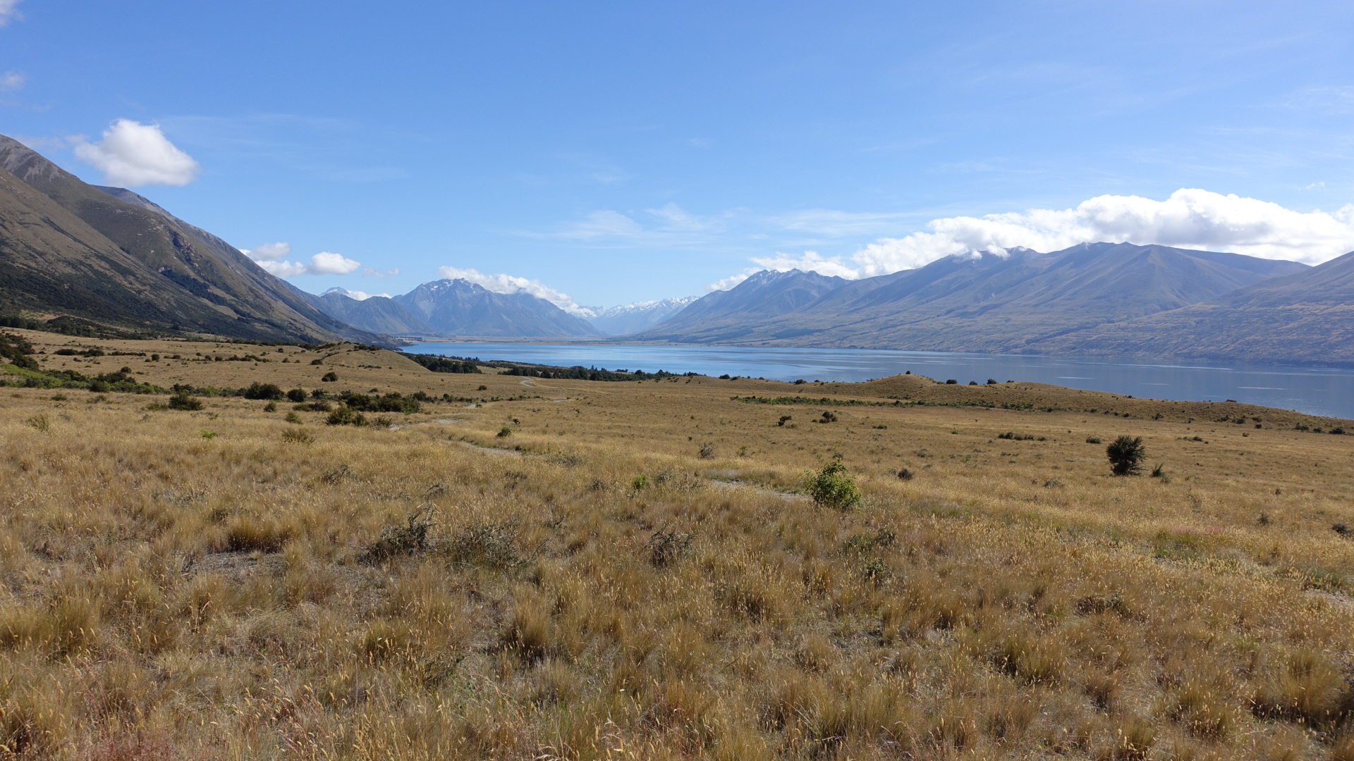 51FEC40D-1241-493B-9C20-0D871031DE2D