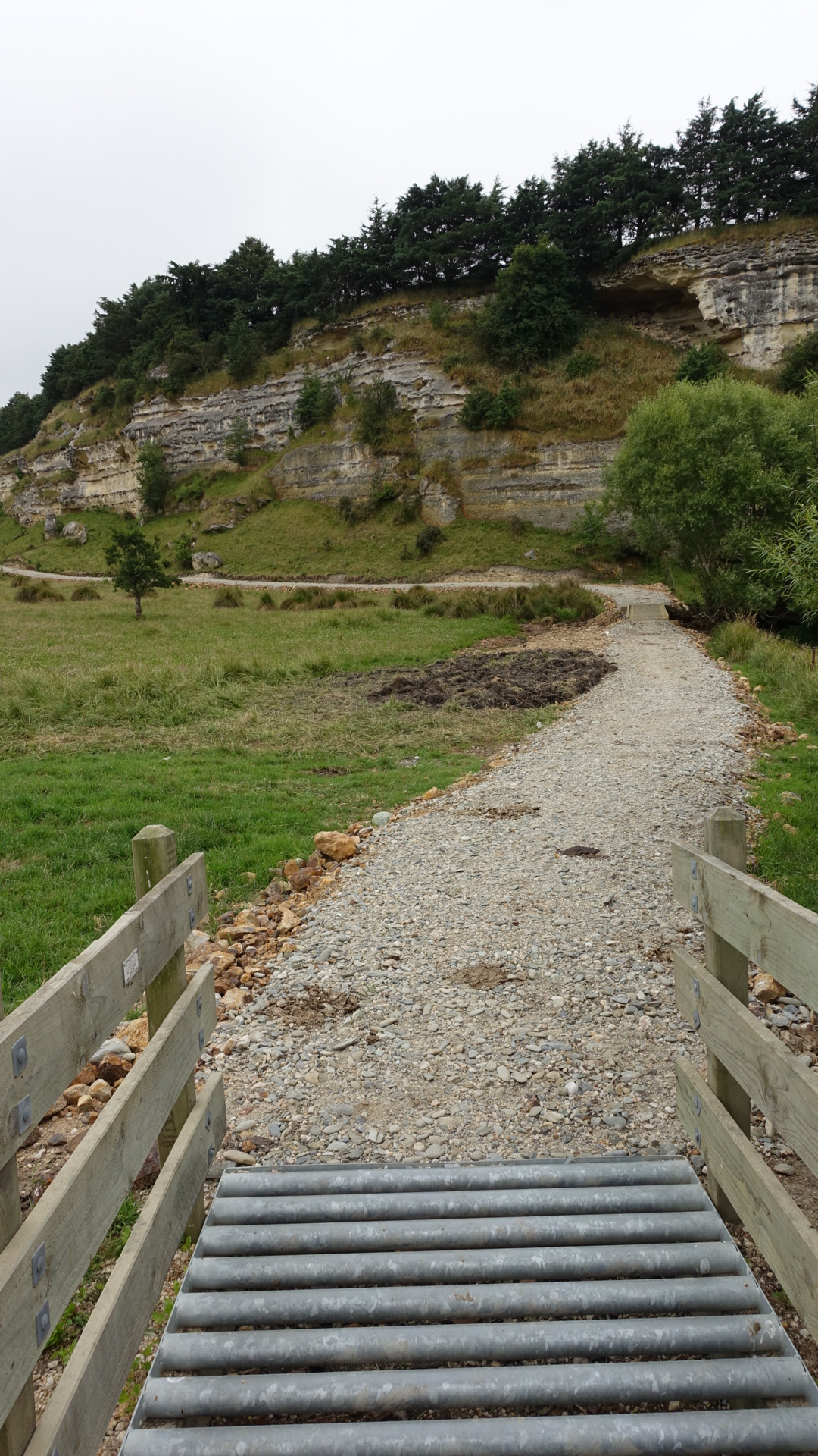 5DEF32D8-6C95-4BA9-AF62-0FC03742713F