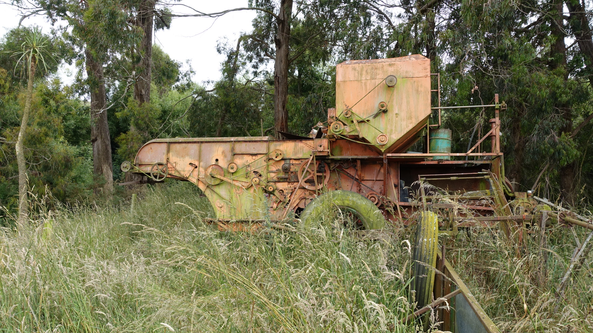 778C34B3-A381-4731-BBE8-CA67BA1DC41F